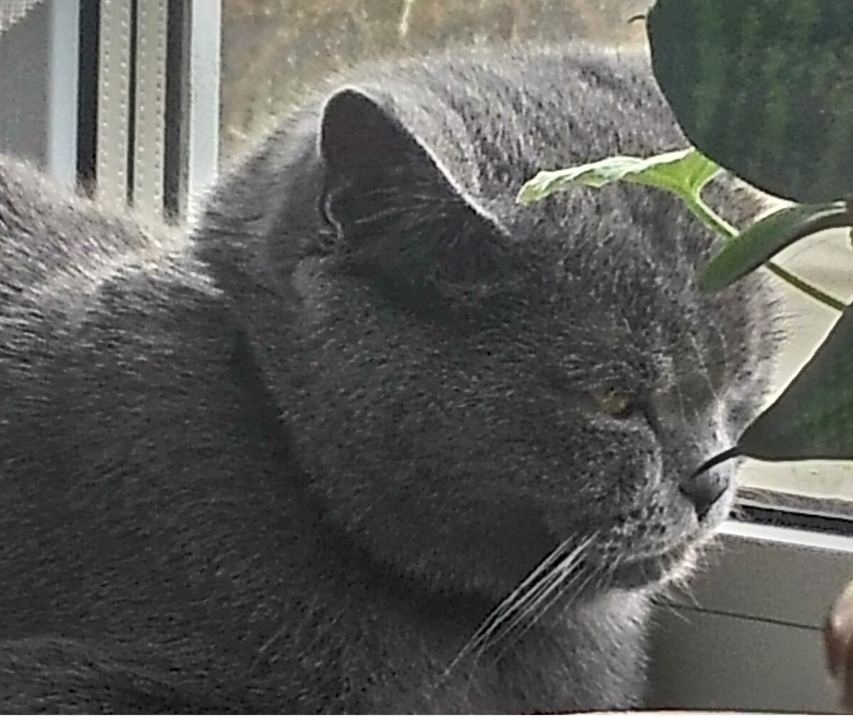 Фото Марии Николаевой