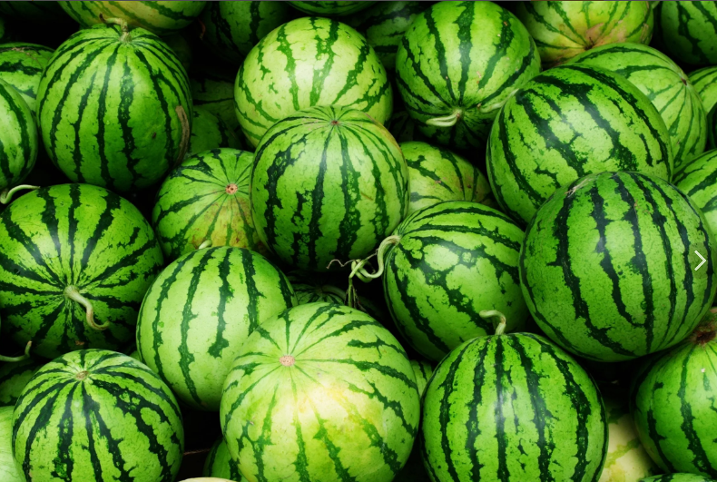 Мы знаем что есть арбузы разные  и продолговатые, и маленькие, и оооочень большие. _____________________________________________________________________________________________________________________________