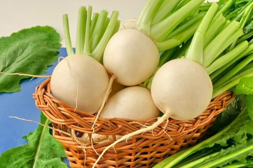 
Всем известно, что сбор репы происходит осенью, поэтому к началу зимы она является «кладезью» витаминов. Вареная репа — прекрасное средство для повышения иммунитета, содержащее в огромном количестве витамин С, витамины группы В, каротин, микроэлементы калий, магний, железо, кальций, серу, позволяющие человеку чувствовать себя бодрым и свежим морозными днями.