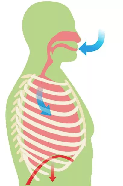  По многочисленным просьбам моих подписчиков продолжаю сегодня знакомить читателей с уникальной системой оздоровления от Микулина Александра Александровича!-13