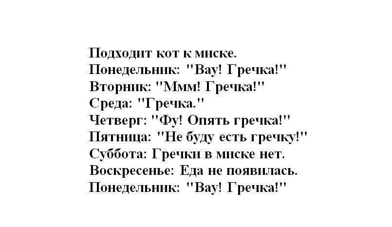 Патологоанатом и гречка. Вау гречка анекдот про кота. Анекдот про кота и гречечку. Анекдот про гречку. Анекдот про собаку и гречку.