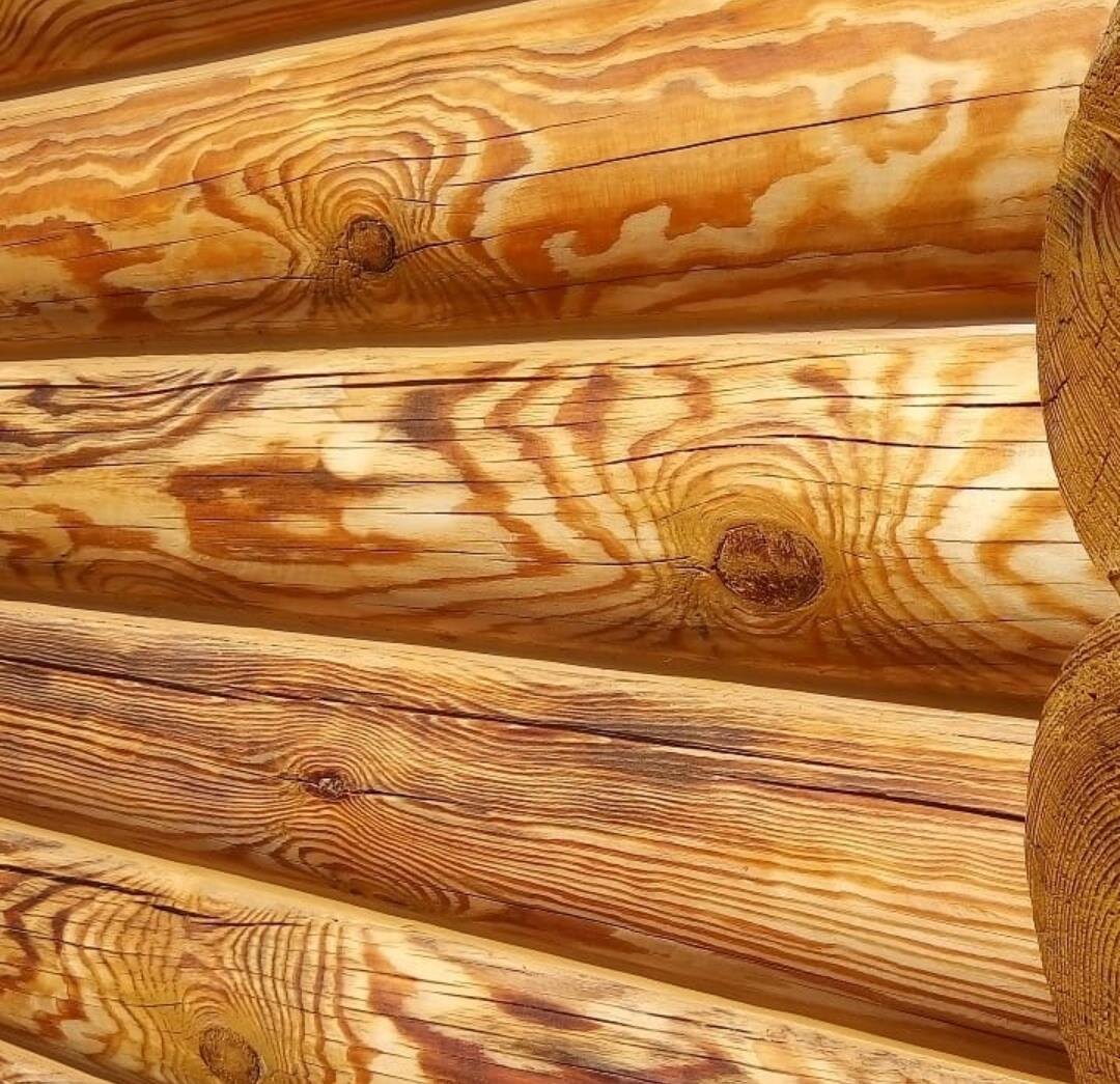 Брёвна после нанесения антисептика и огнезащитной пропитки «Сигма Д»