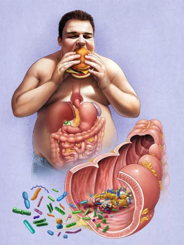 Источник econet.kz