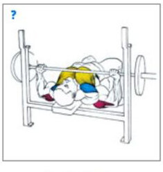 1. Жим штанги лежа.