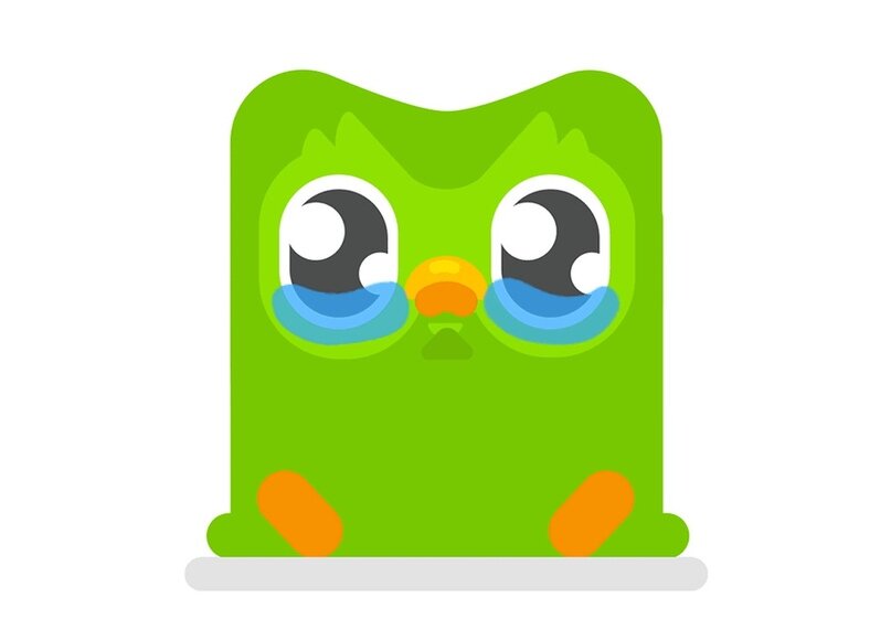 сова зеленая