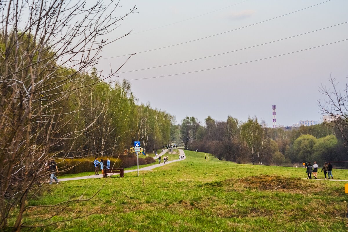 Битцевский парк в москве