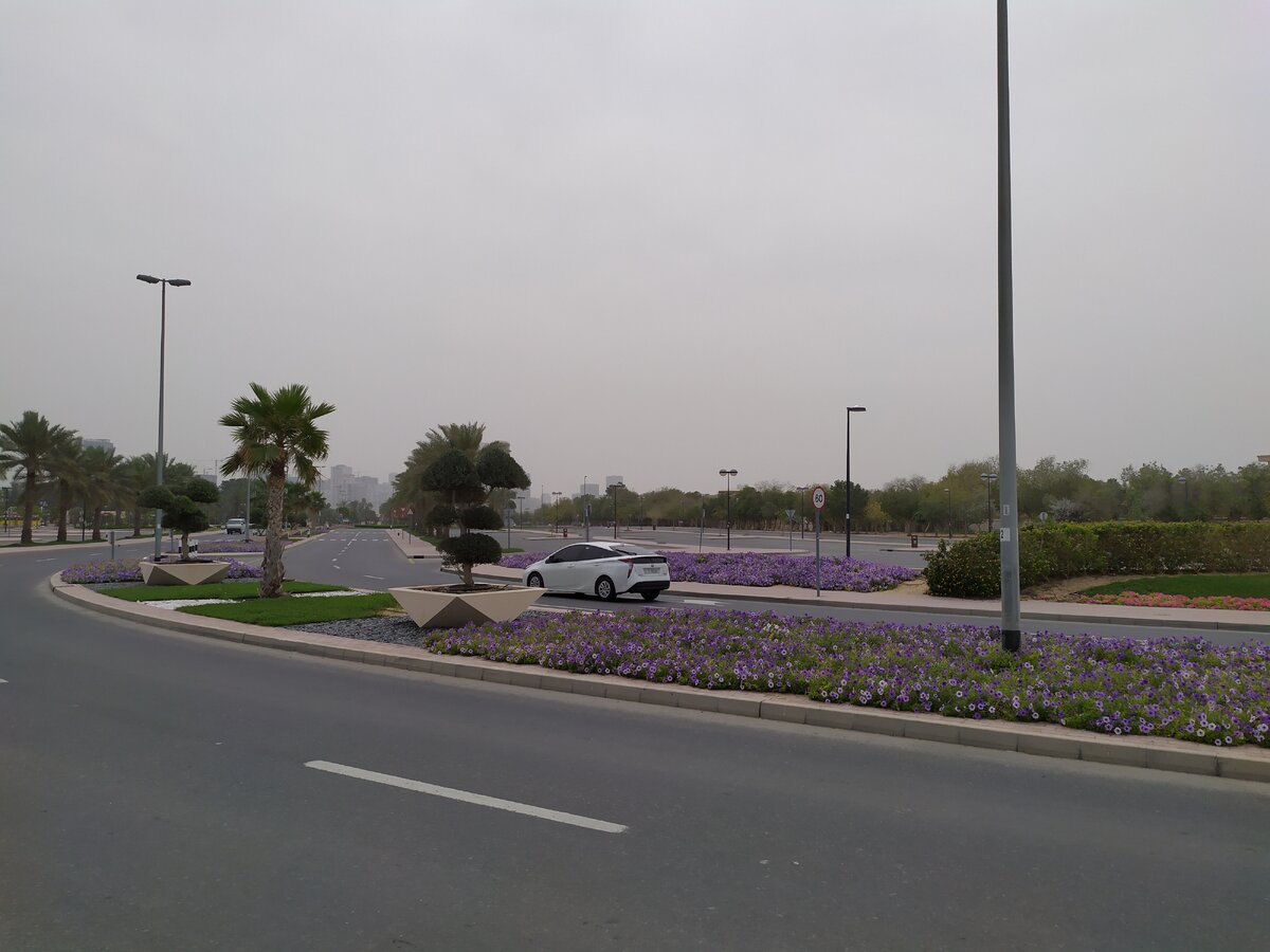 Дорога к пляжу утопала в цветах