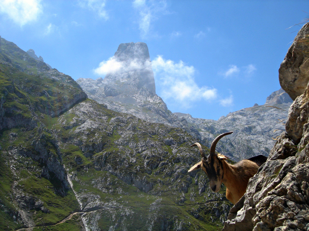 Горы Пикос-де-Эуропа на севере Испании