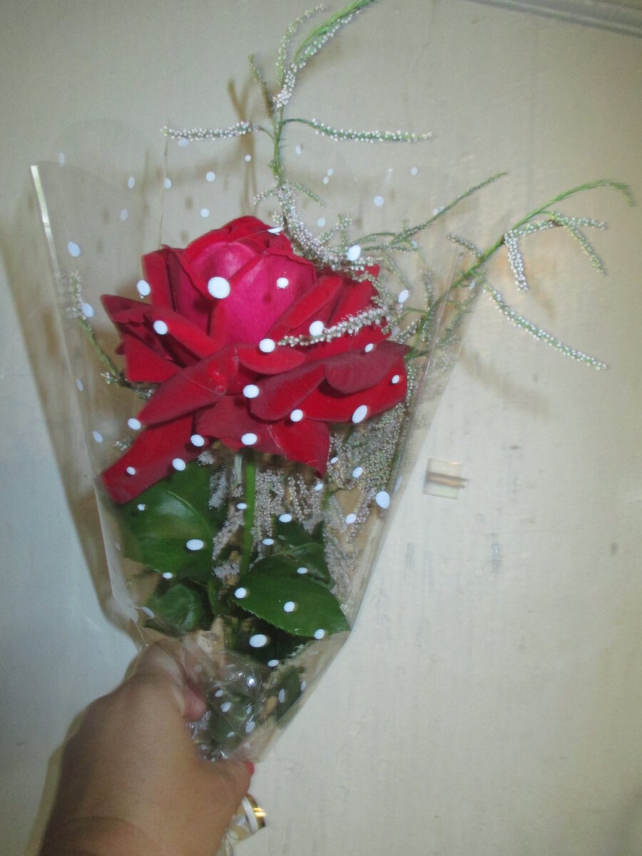 Роза с тамариксом. Простейшая композиция на 40 руб. , если кому интересно :)