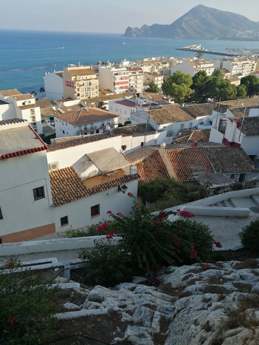 Панорама Алтеи 