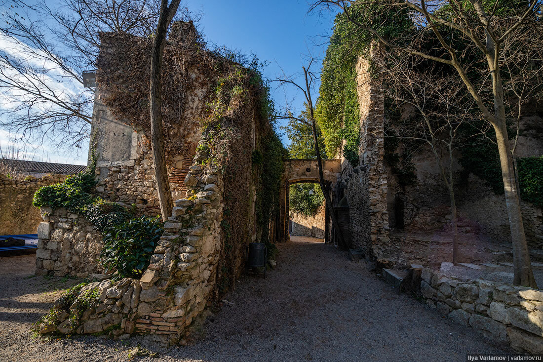 Фото использовано в качестве иллюстрации. Источник — сервис «Яндекс Картинки».