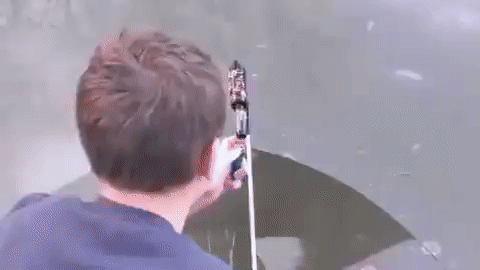 Источник: gifer.com