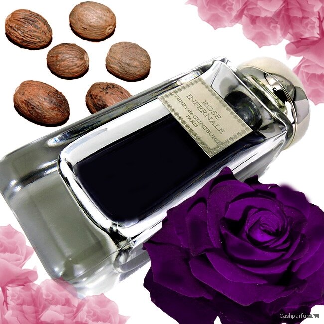 Rose Infernale Terry de Gunzburg