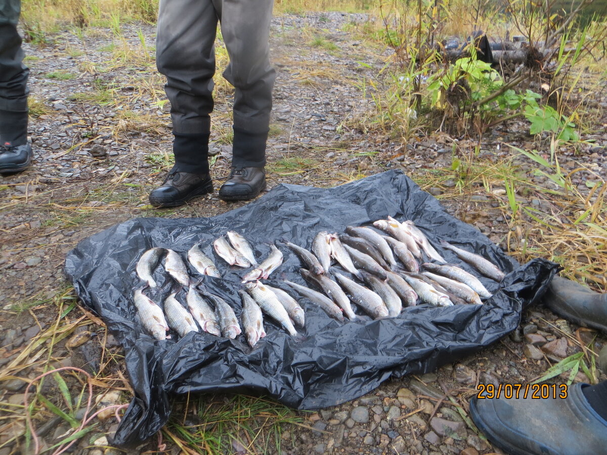 Фото Минприроды Коми