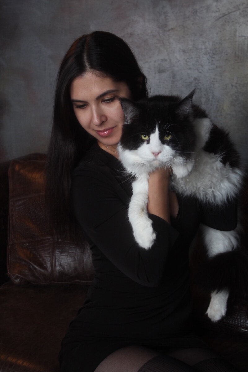 Кот-гигант