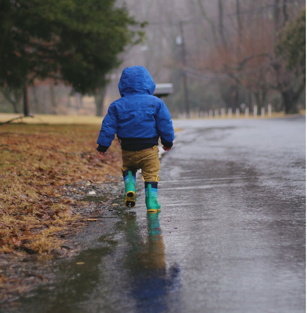 У каждого времени года свои развлечения (Photo by June Admiraal on Unsplash)