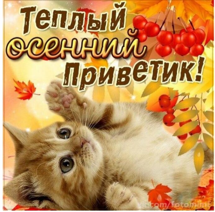 Заходим развлекаемся)