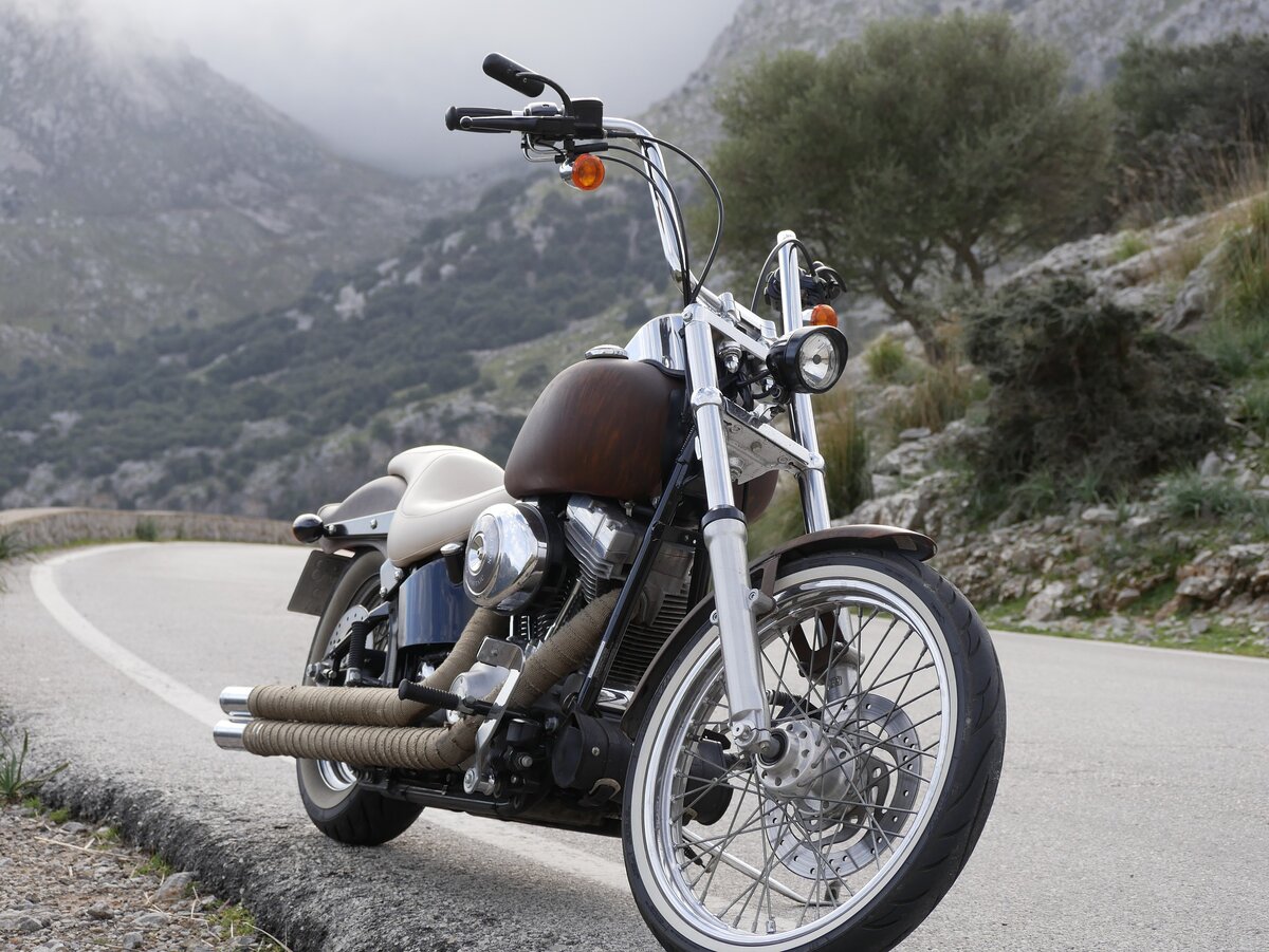 https://pixabay.com/photos/harley-davidson-chopper-3982398/