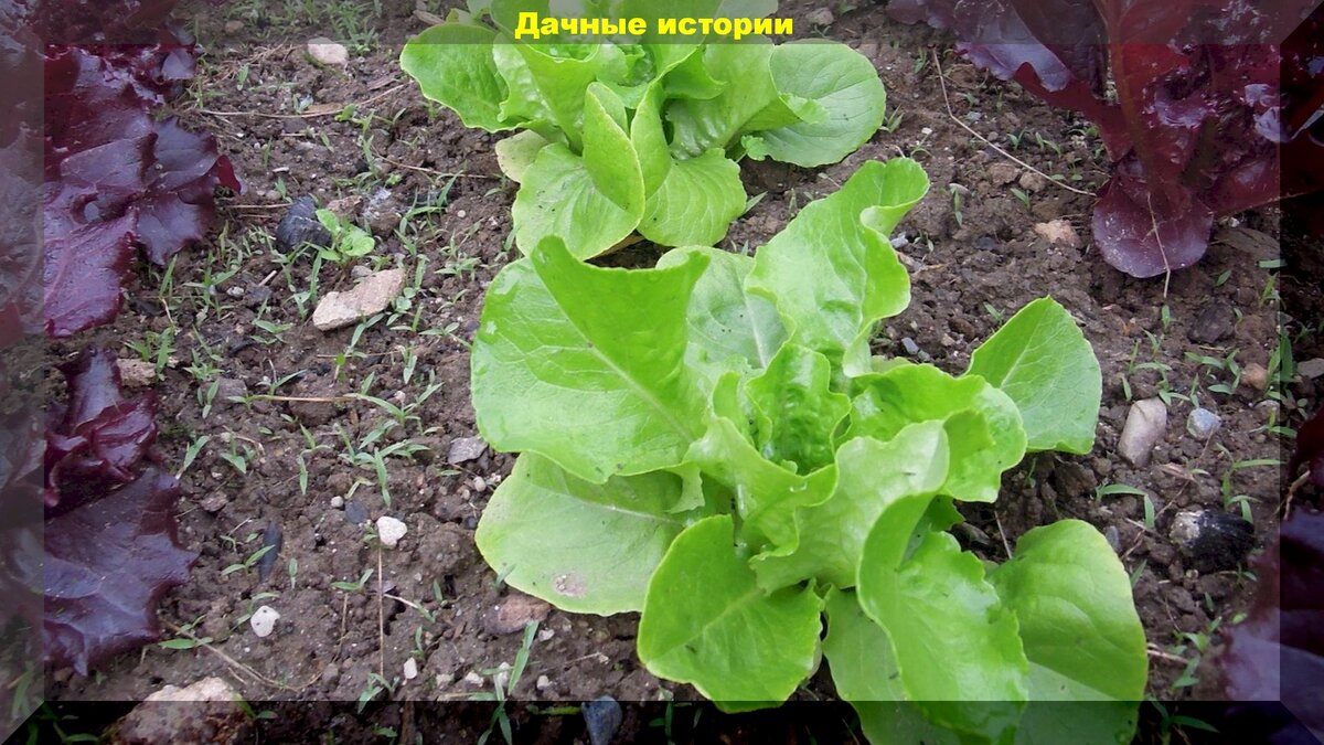 https://vk.com/photo-159774511_457242556 