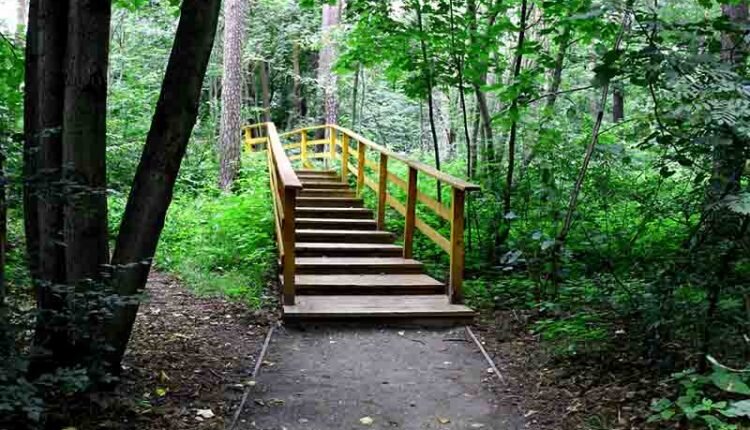 Мостик в лесопарке серебряный бор