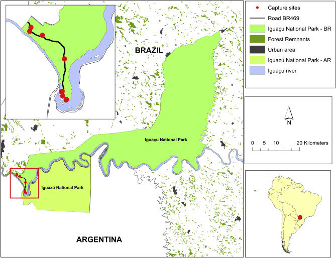 The Sourse: https://www.sciencedirect.com/science/article/pii/S2213224418301652