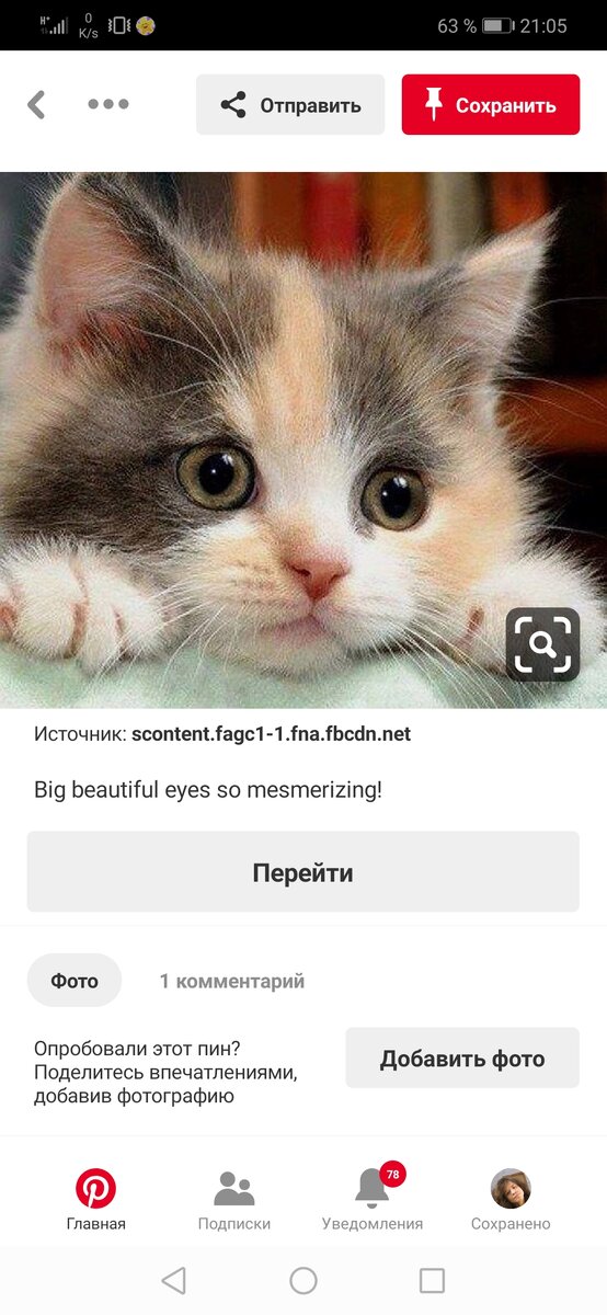 Фото со свободного источника.