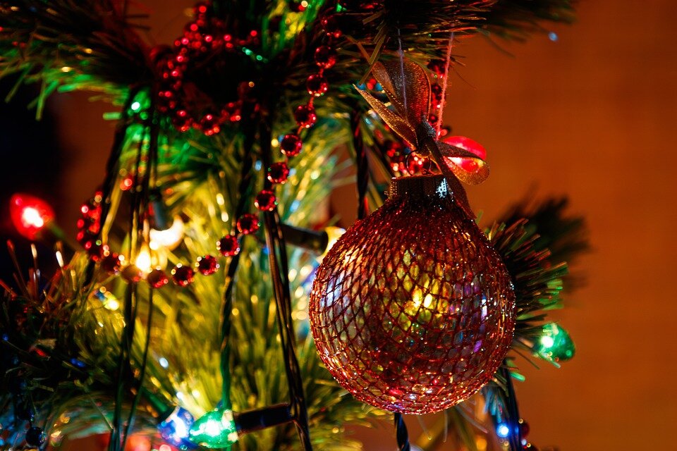 Фото с сайта: https://pxhere.com/