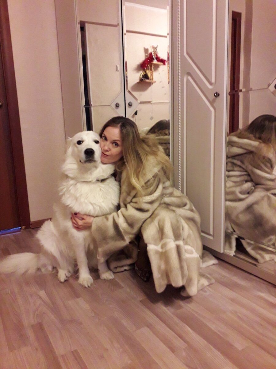 Моя взрослая умная собака. Которая терпеть не может фоткаться, и везде с трагической мордой.