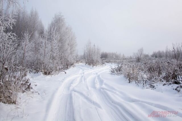 Окрестности деревни Бугор. Фото из архива.Из газеты Аргументы.