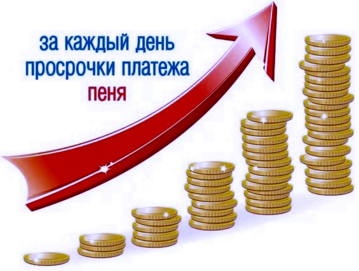 фото из Сети