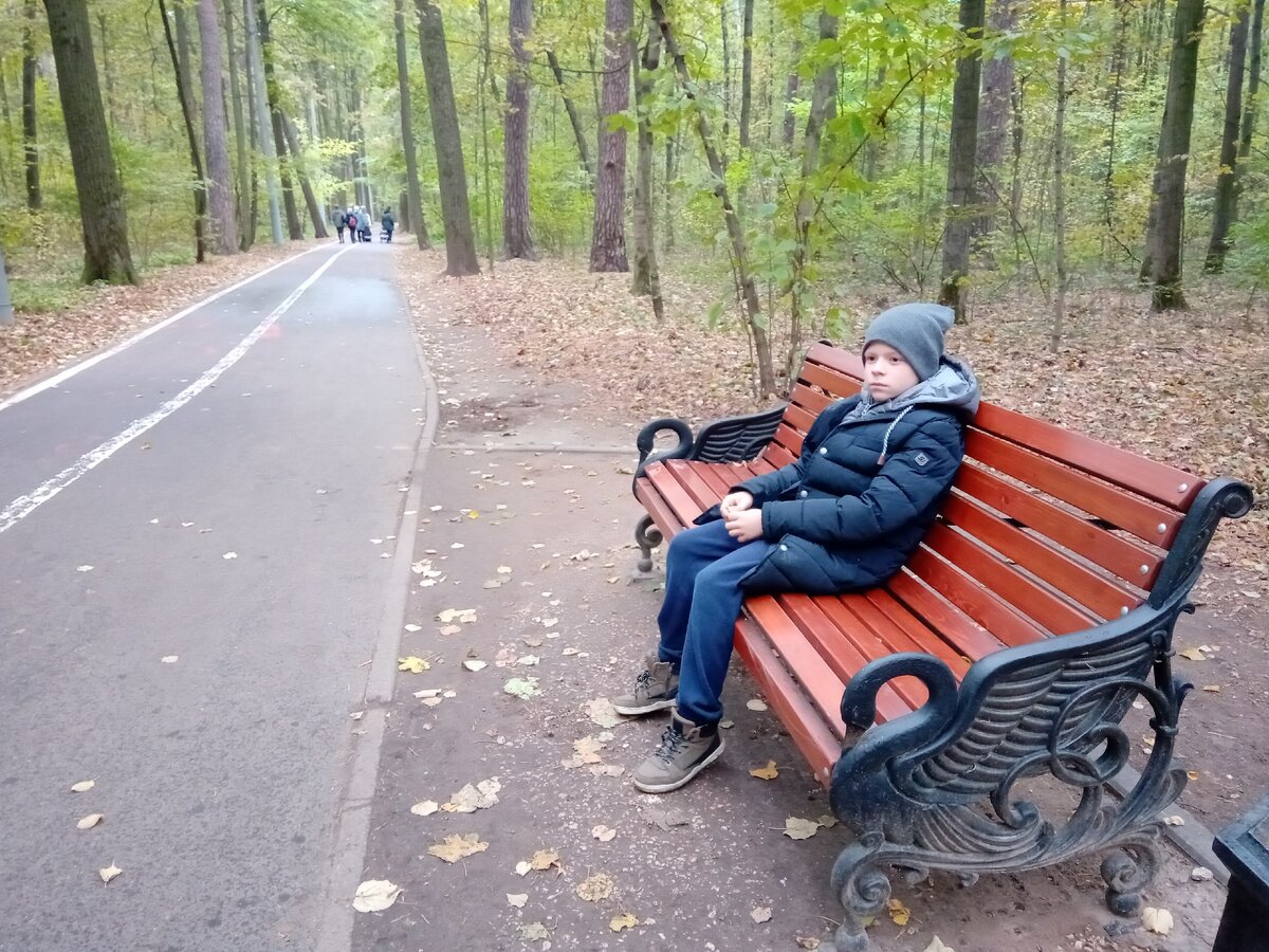 Элементы с лебедями часто можно увидеть в парке