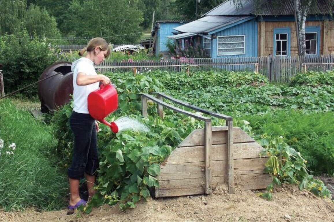 Дачник на огороде