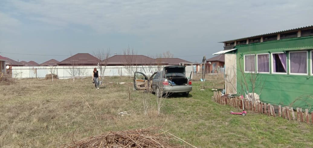 Вот так он выглядел уже осенью. 