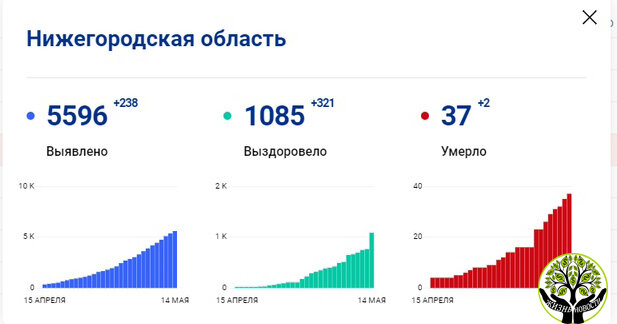 Информация с официального сайта стопкоронавирус.рф