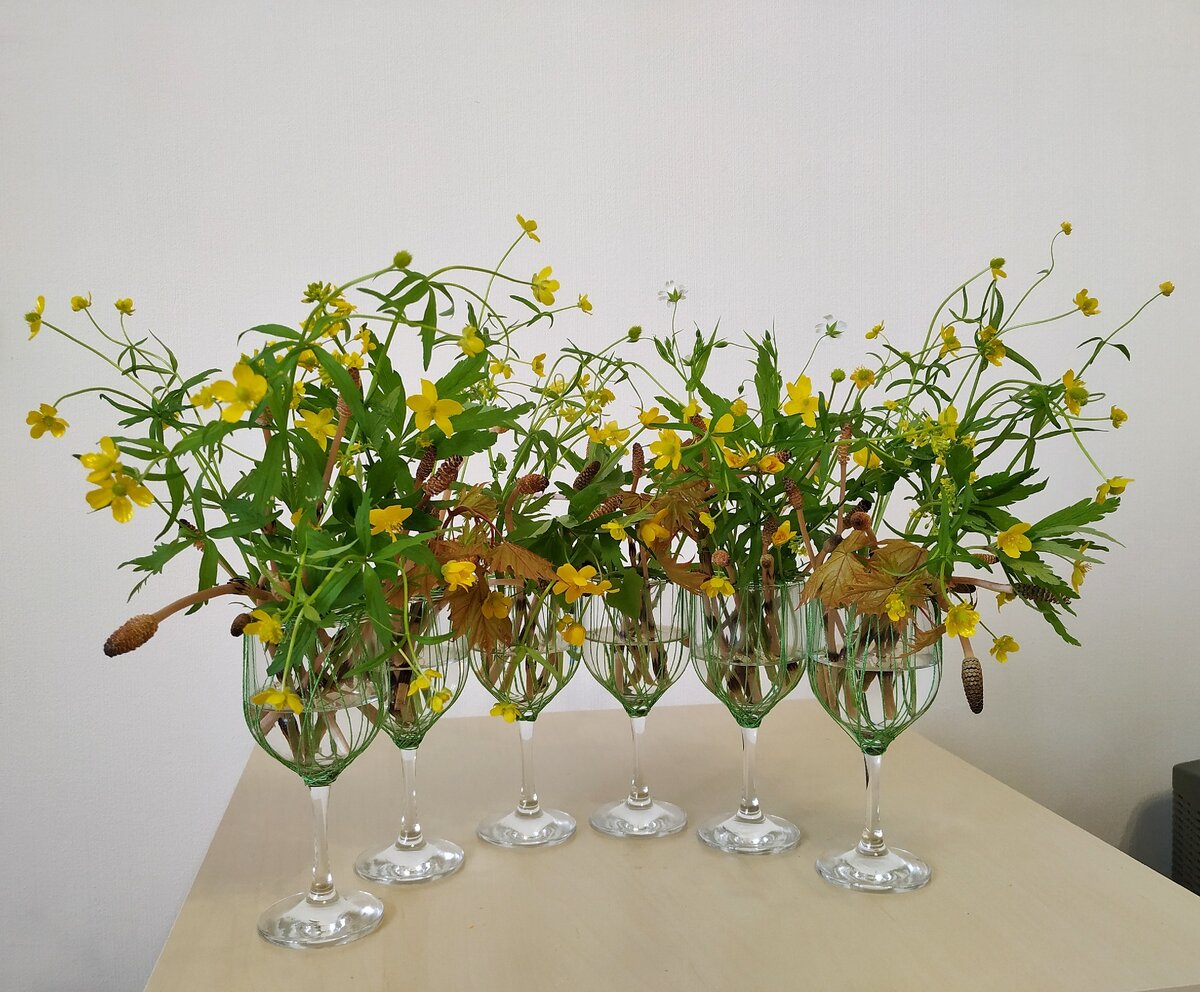 Мои флористические ассоциации на тему совиньон блана