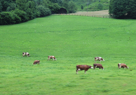 Когда до музеев еще не доросли
