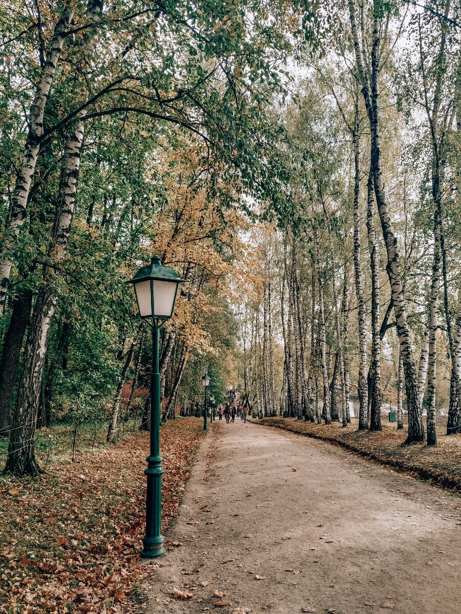 парк клины в ясной поляне