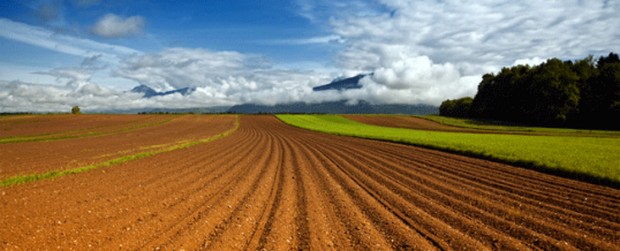 Фото из бесплатных ресурсов интернета