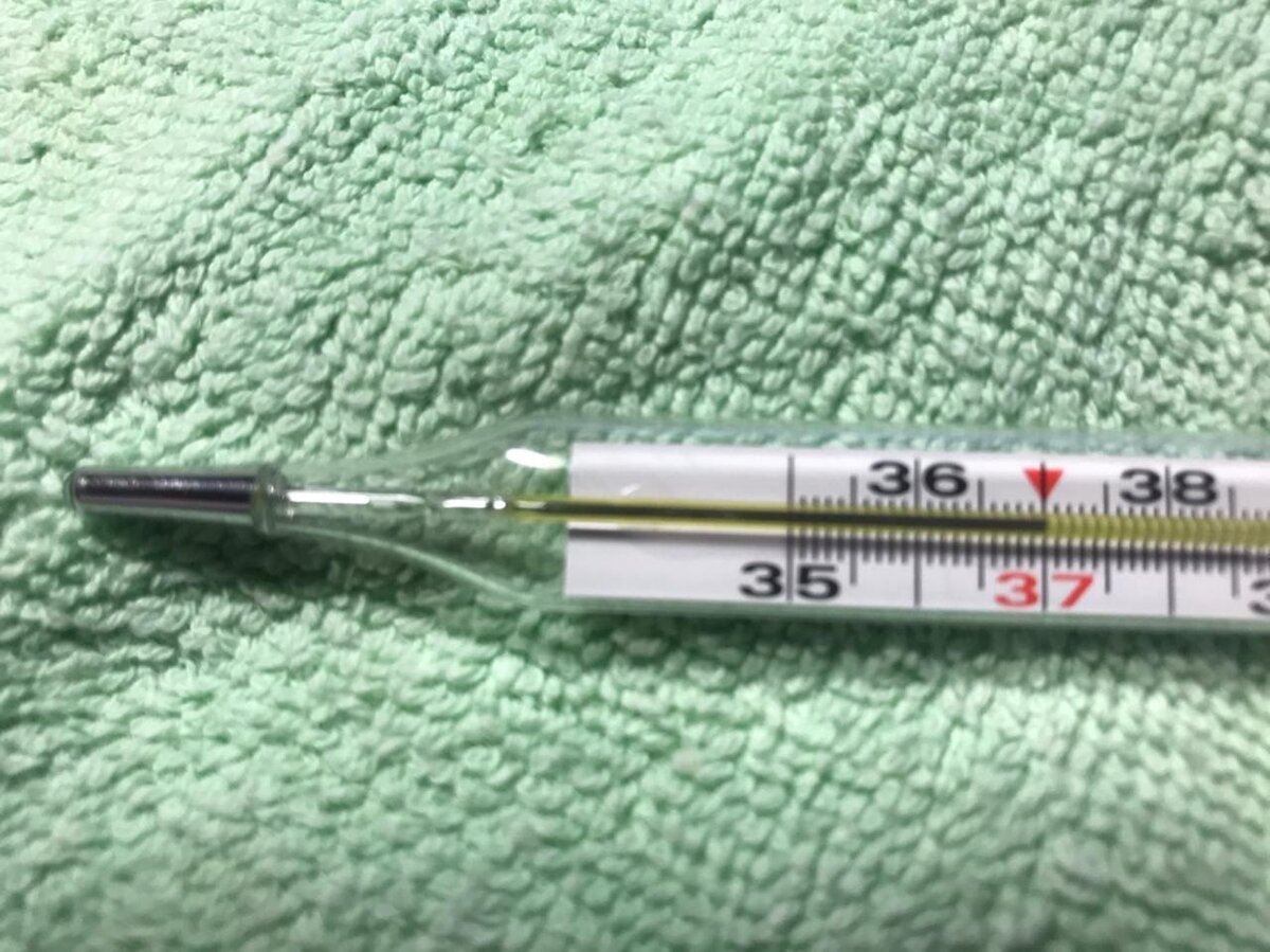 ТАК БЫЛО С УТРА