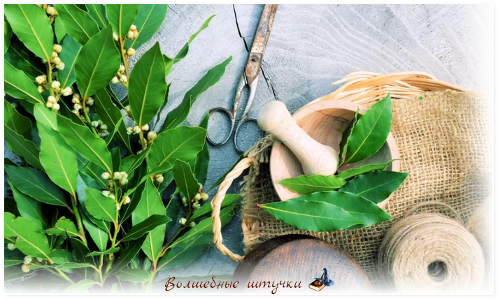 Неочевидный эффект пряности