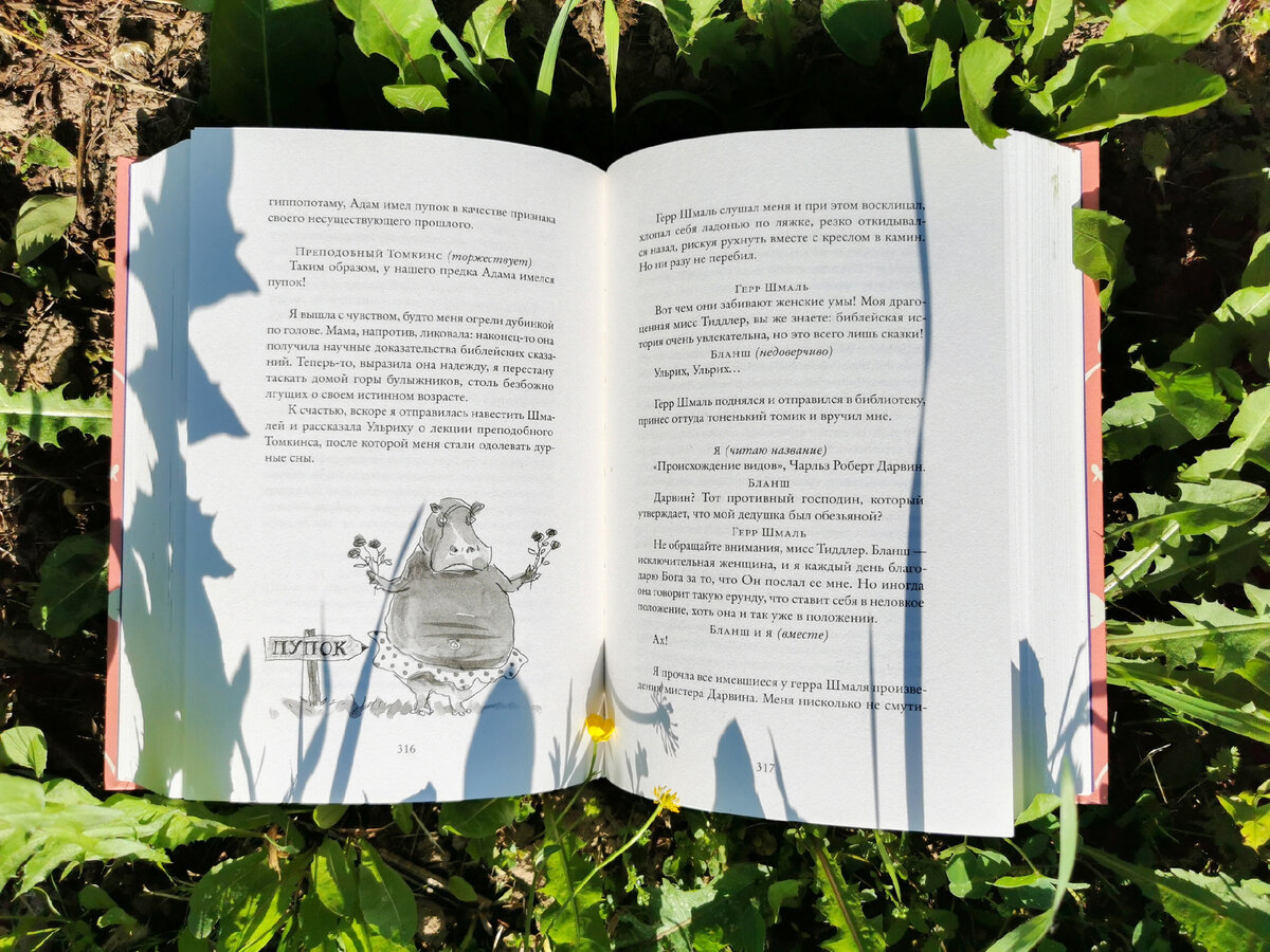 Разворот книги «Мисс Черити». 