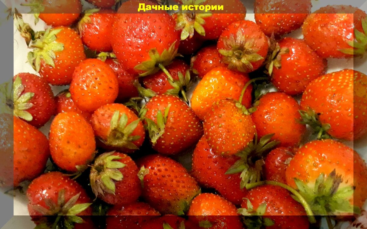 https://vk.com/photo-159774511_457247937