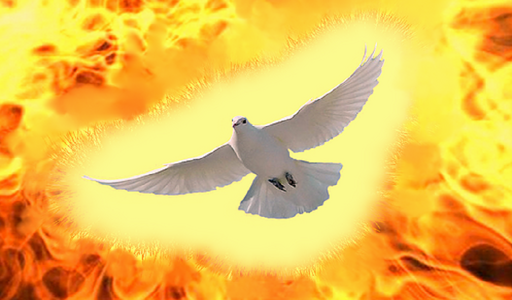 Вернусь живым духом. Огненный Святой дух. Огонь духа Святого. Огонь Божий. Голубь в огне.