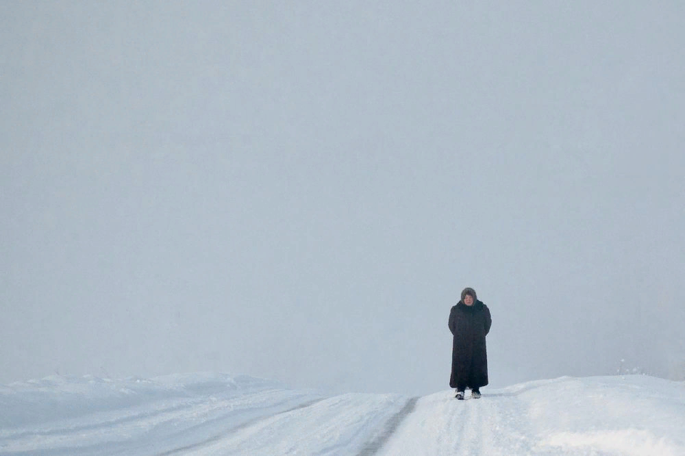 Во Бору брусника дзен на заснеженной тропе.