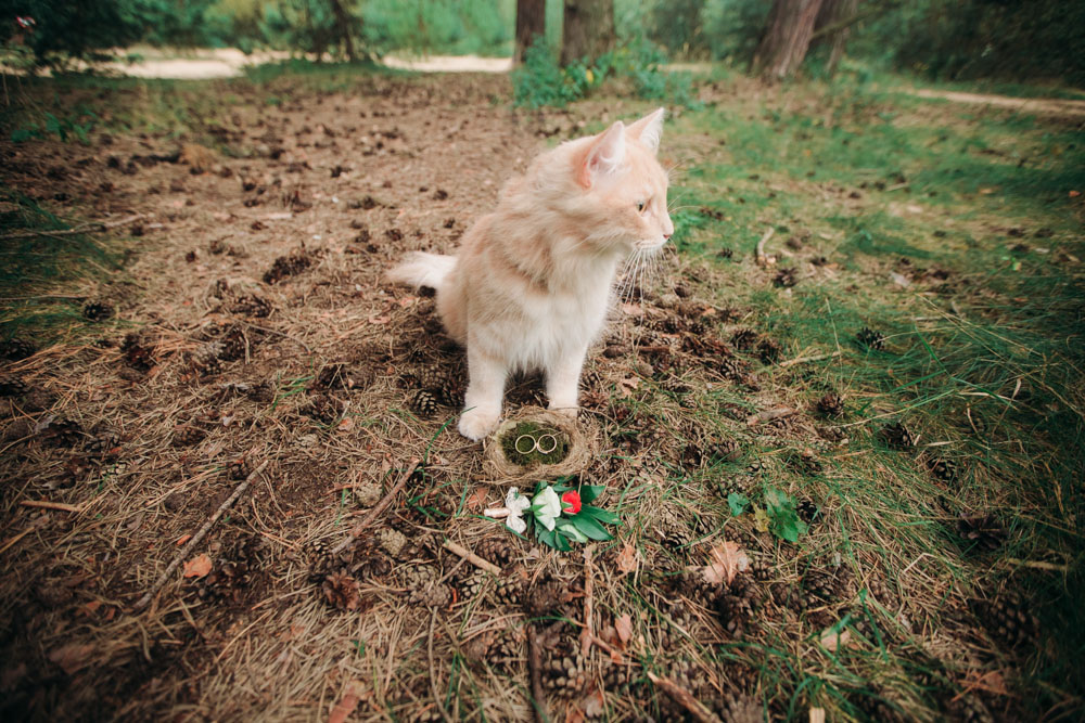 Мы не гуляем с Ричи постоянно, но несколько раз брали его на уличные съемки, ему было очень интересно гулять на поводке, осматривая окрестности (фото автора)