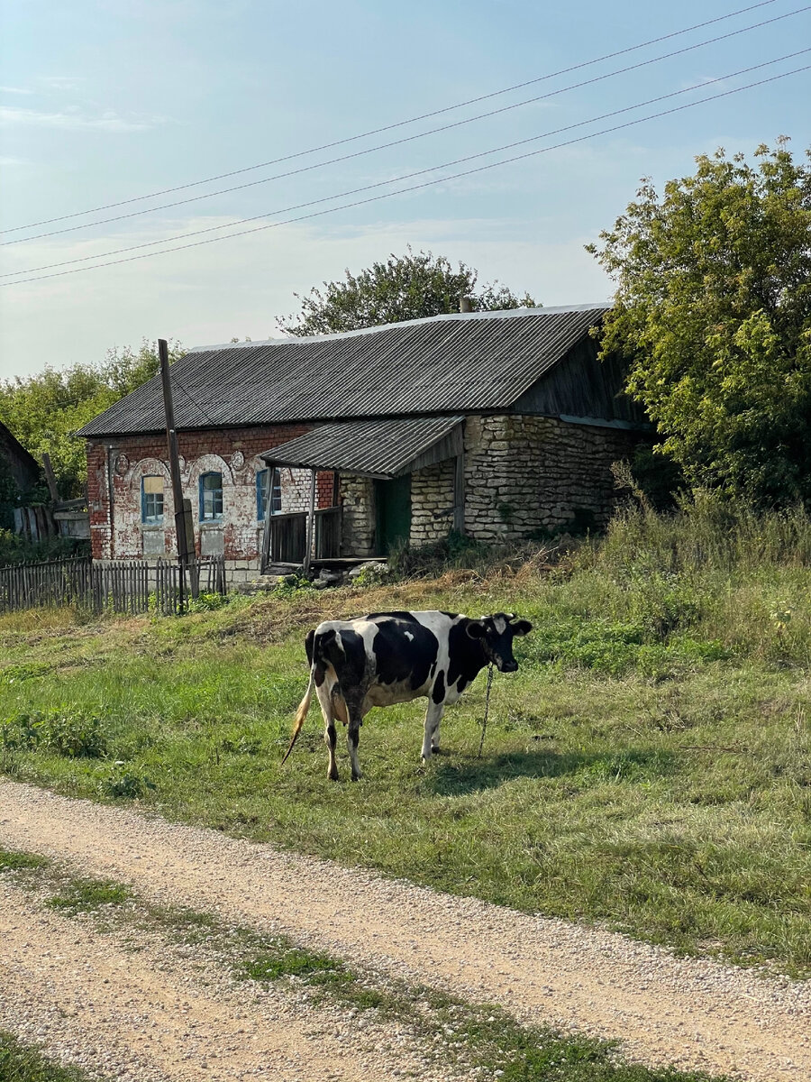 Личное фото автора 