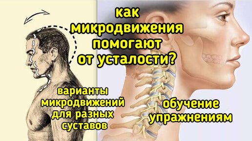 Микродвижения - эффективный способ для снятия усталости и расслабления. Учимся вертикальным микродвижениям