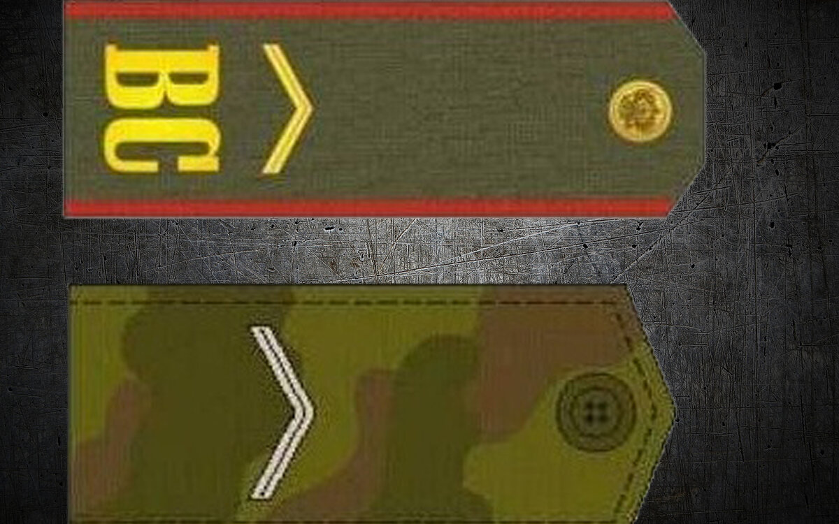 Любая армия мира имеет свою структуру командирского единачалия...