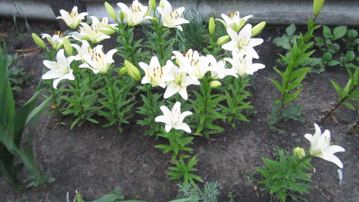 Фото автора канала