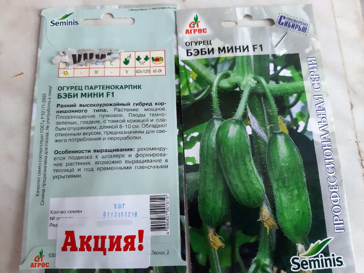 такие огурцы достались мне по акции.